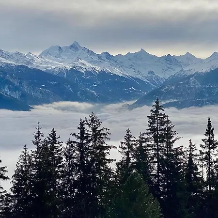 Colorado Riders بيت ضيافة 4*