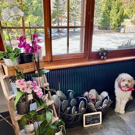 Colorado Riders بيت ضيافة 4*