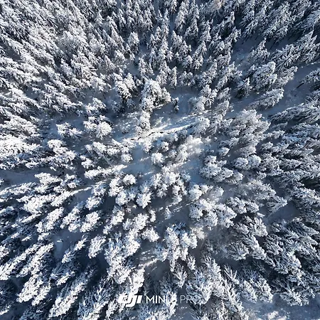 Colorado Riders Πανσιόν 4*